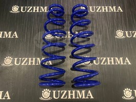 Пружина SV50 задняя 482313H270-1