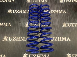 Пружина RD1 задняя  哈2 后 52441S10A01