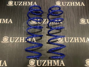 Пружина DY3W DY5W задняя 哈79 后 D35028011