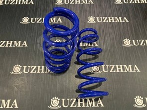 Пружина RD5 задняя  后 52441S9A044