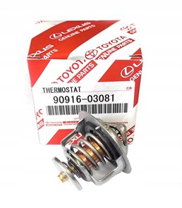 Термостат 1G/5K 2L 52-82 9091603081