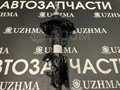1 338076 - фото 6476